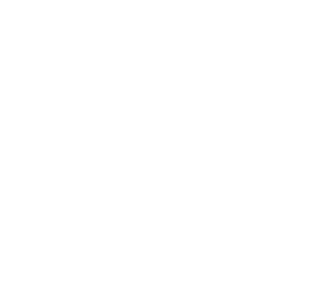 Palumbo Homes Stacked Logo